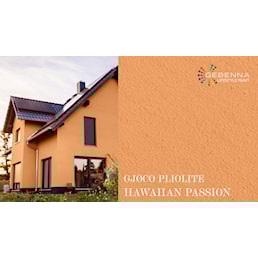 PLIOLITE FARVEKORT HAWAIIAN PASSION.jpg
